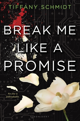 Review: Break Me Like A Promise by Tiffany Schmidt